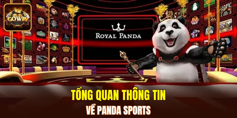 Panda Sports cung cấp đa dạng loại hình cá cược