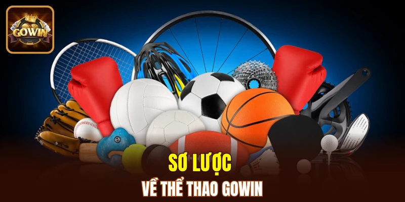 Sơ lược về thể thao GOWIN