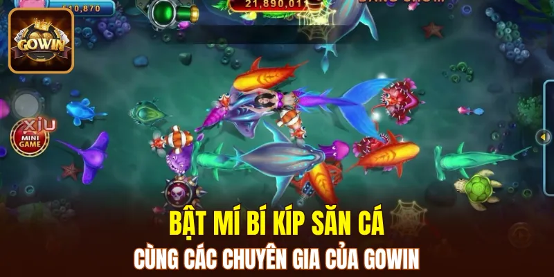 Tips săn sinh vật biển thắng lớn