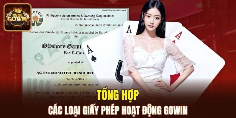 Tổng hợp các loại giấy phép đang được thương hiệu nắm giữ